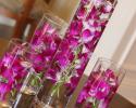Easy as 123, these beautiful demdrobium orchids can be used as centerpieces for check in table, Church flowers, Aisle decorations, Celebration of Life Ceremonies and just to have for a themed party. Just order from our Flower category and buy as many orchids you would like to use... 1 stem or 2 stem and place a floating candle on top and you have pure elegance for your event...Florida and Carolina Garlands will help you design like a professional florist.